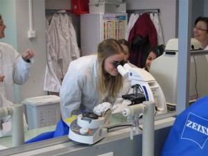 DNA-Atelier-Gotz DNA-Atelier-Gotz