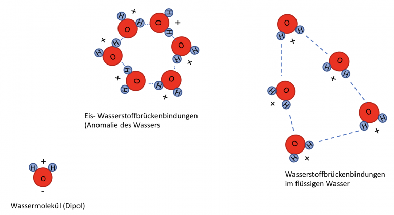 Was Ist Eine Wasserstoffbrückenbindung Wasserstoffbrückenbindung | Die NAWI Homepage